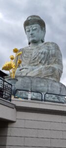 Le grand bouddha de kobe