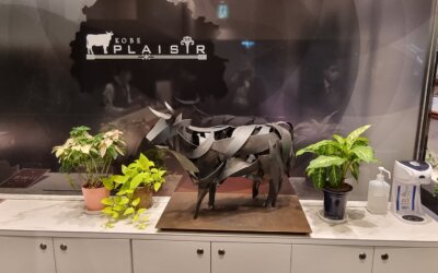 Kobe plaisir, un restaurant sympa