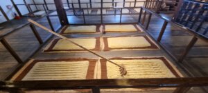 Le ratissage du riz pour fabriquer du saké
