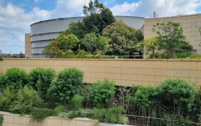 Namba park, les jardins suspendus