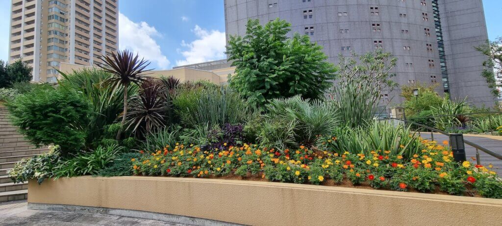Une vue des jardins suspendus