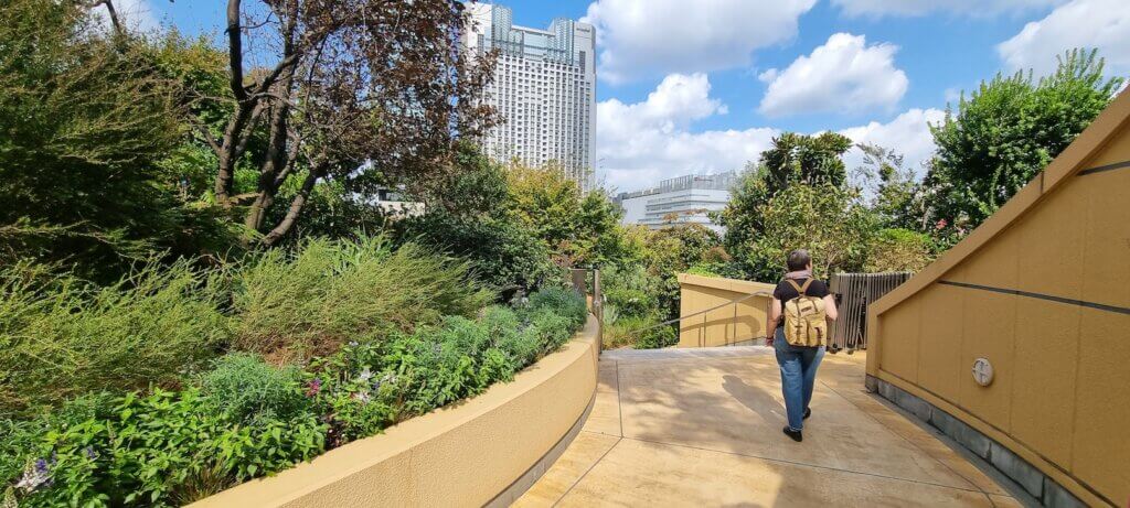 Une vue des jardins suspendus