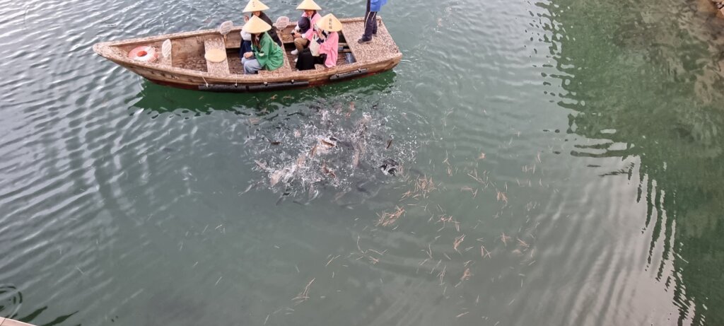 Des gens donnant à manger aux poissons