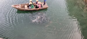 Des gens donnant à manger aux poissons
