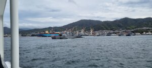 Des navires de guerre japonais