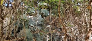Un temple dans la forêt