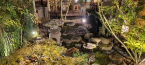 Le jardin avec les carpes la nuit