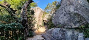 Le chemin pour aller au sommet du mont Misen
