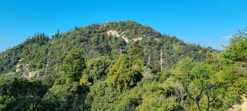 Le sommet du mont misen