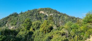 Le sommet du mont misen