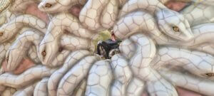 Des serpents entourant orochimaru de Naruto