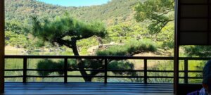 La vue depuis la tea house
