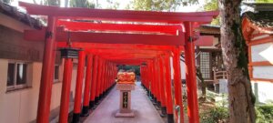 Un oni au milieu des toris