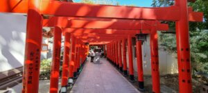 Les toris au temple de yashimaji