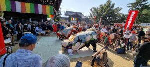 Les dragons se lèvent lors du matsuri de zentsuji